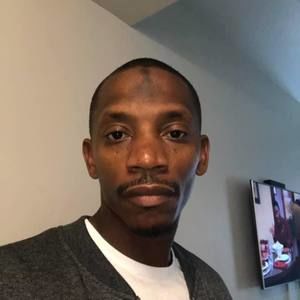 Meet your Posher, Sylvester